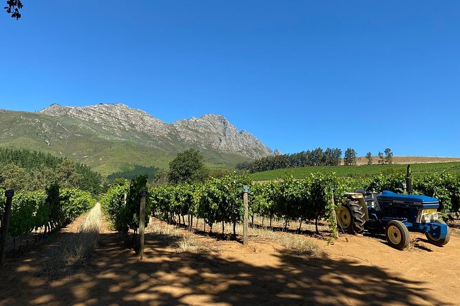 Vine Hopper: Hop-On Hop-Off Wine Tour - Northern Route