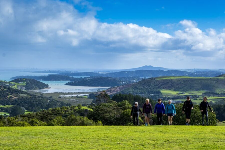 23 Best Wine Tours In Waiheke Island