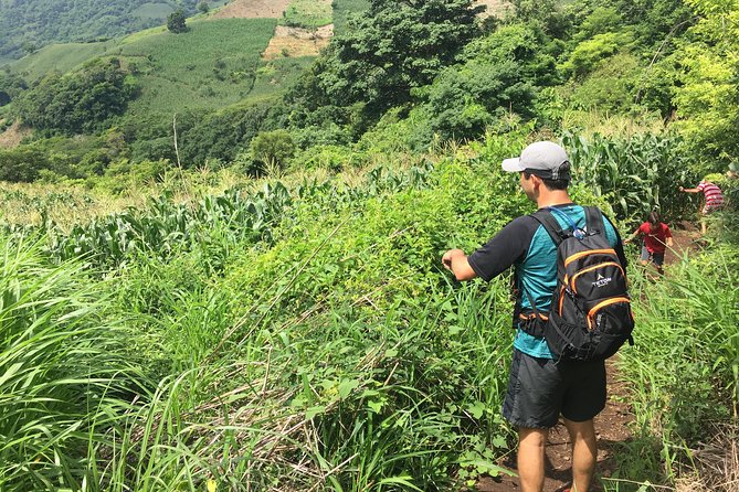 Wet & Wild: Tamanique Waterfalls + Craft Beer Sampling & Lunch