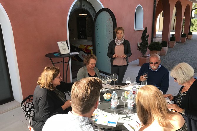 Wine Tour Whit Wine Tasting