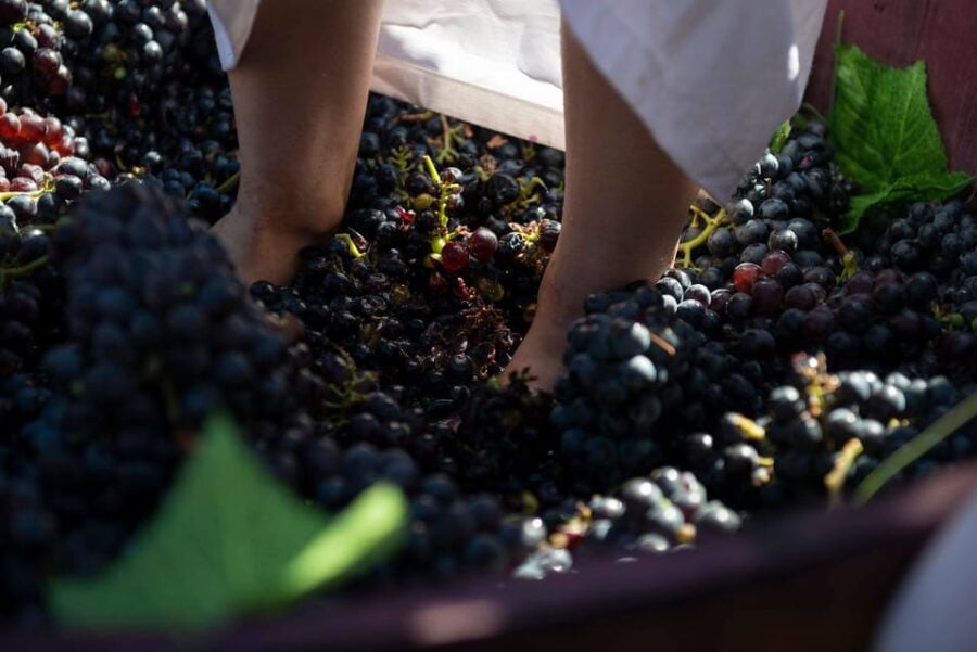 Yerevan’s 21 Best Wine Tours