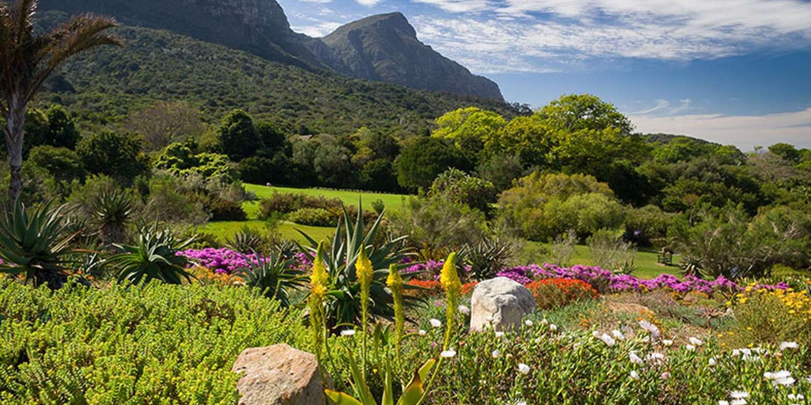 Table Mountain & Constantia Wine Tasting Full Day Tour - Itinerary Highlights