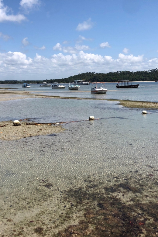 Catamaran Tour in Praia Dos Carneiros - Included in the Tour