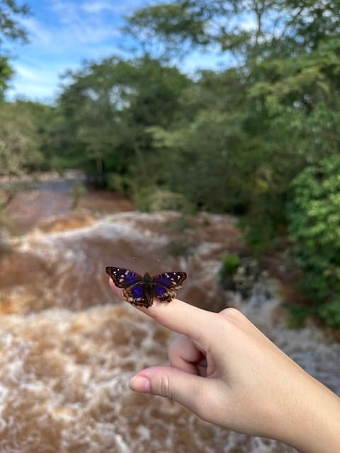 Iguassu Falls From the Argentinean Side: a Walking Tour - Vistas From the Top