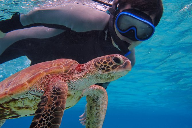 Okinawa Miyako 1 Day Pumpkin Limestone Caving & Sea Turtle Snorkeling