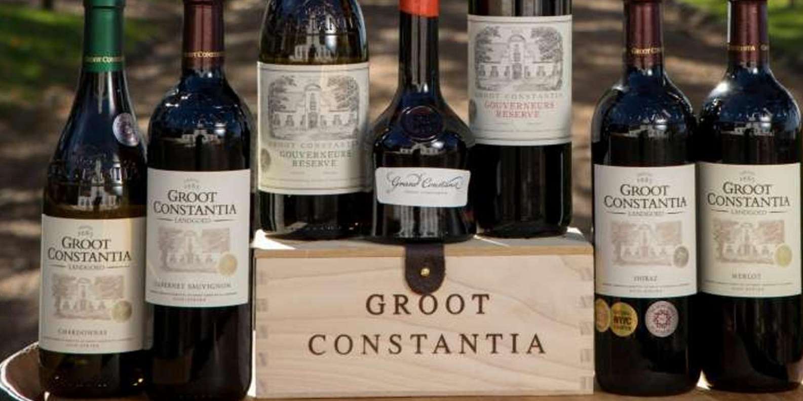 Table Mountain & Constantia Wine Tasting Full Day Tour - Experience Details