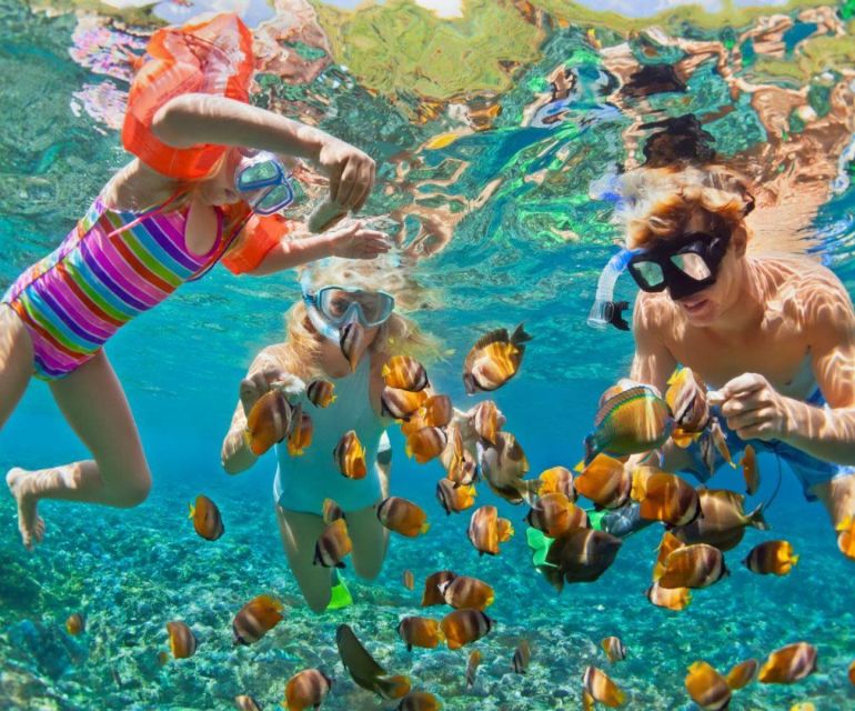 Full Day Barú Island: Mangrove +Snorkel + Sunset + Plankton - Important Information