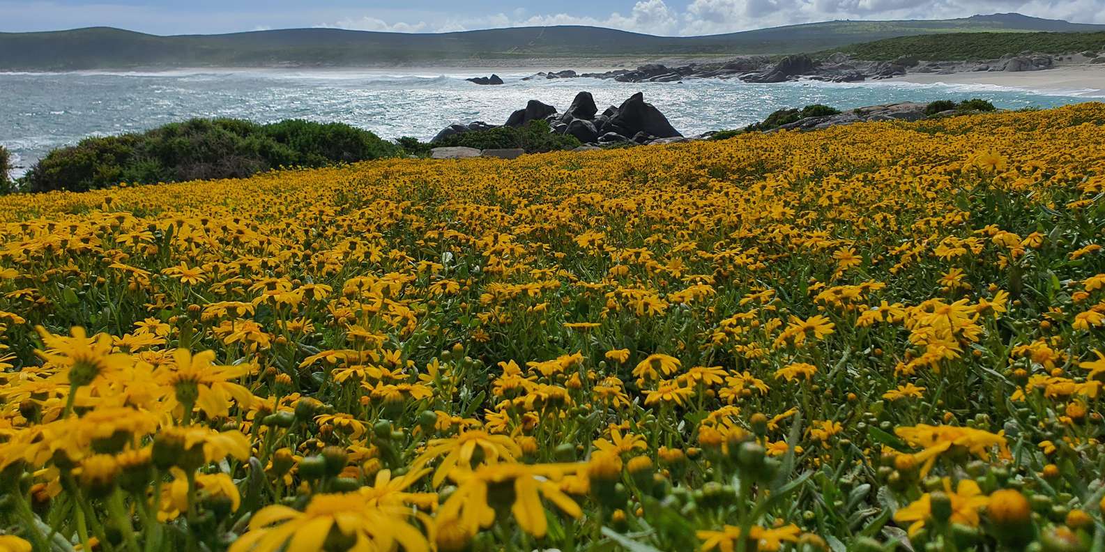 Cape Town: West Coast Full Day Private Tour - Inclusions