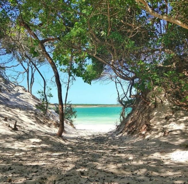 From Fortaleza: Day Trip to Jericoacoara - Mobility Considerations and Pickup Times