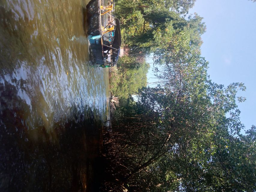 Pantanal of Rio De Janeiro - Frequently Asked Questions