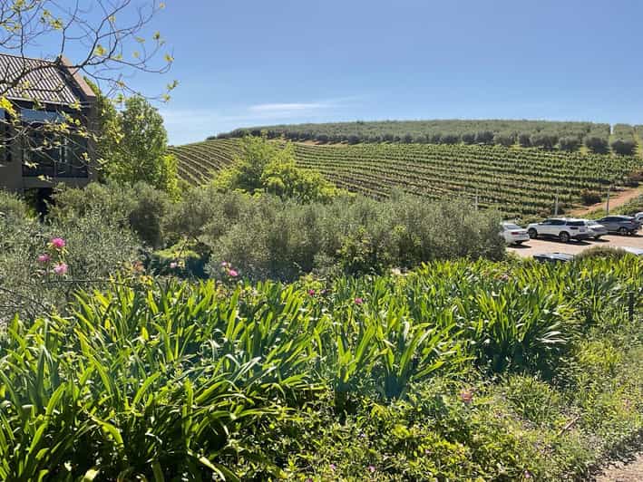 Table Mountain & Constantia Wine Tasting Full Day Tour - Important Notes