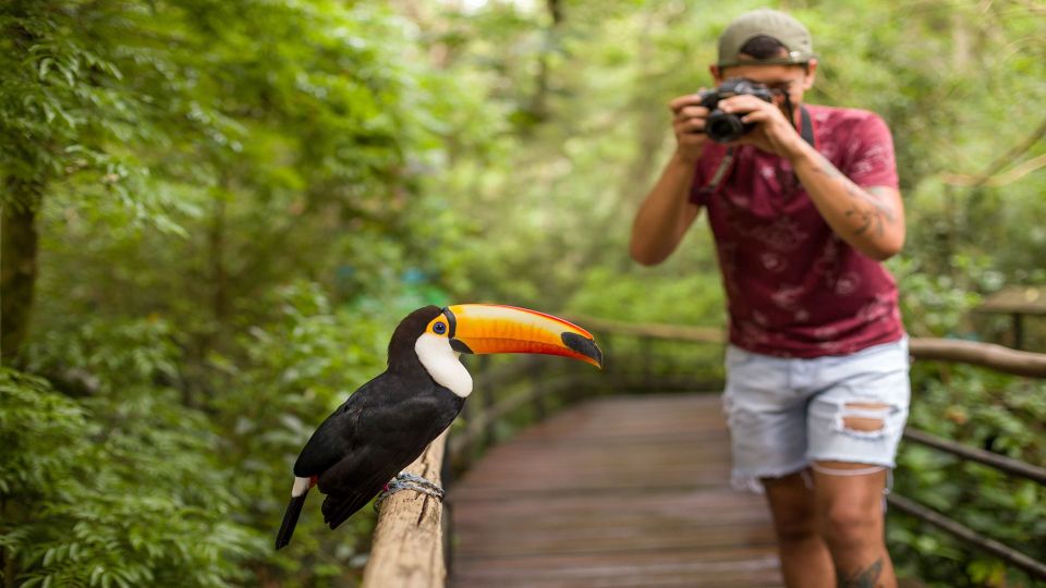 Foz Do Iguaçu: Brazilian Side of the Falls + Bird Park - Excursion Duration and Languages