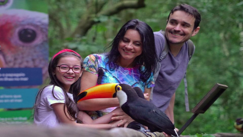 Foz Do Iguaçu: Brazilian Side of the Falls + Bird Park - Frequently Asked Questions