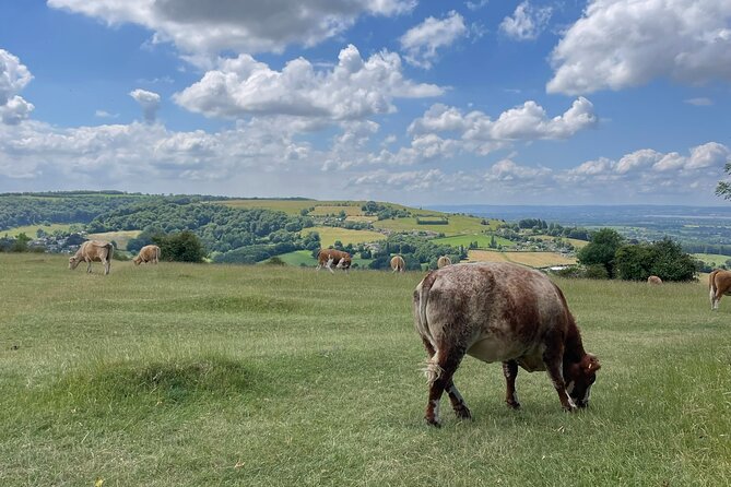 Full Day Cotswolds Tour; Where Opulence and Heritage Converge - Booking Information