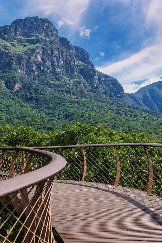 Table Mountain & Constantia Wine Tasting Full Day Tour - Main Stops