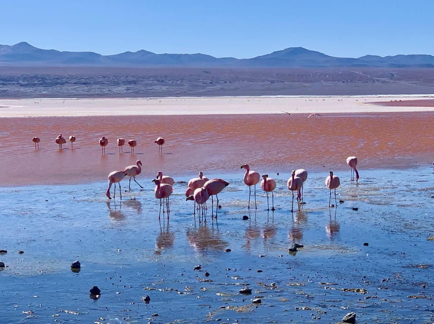 3D Adventure to the Salt Flats and Desert, From Uyuni
