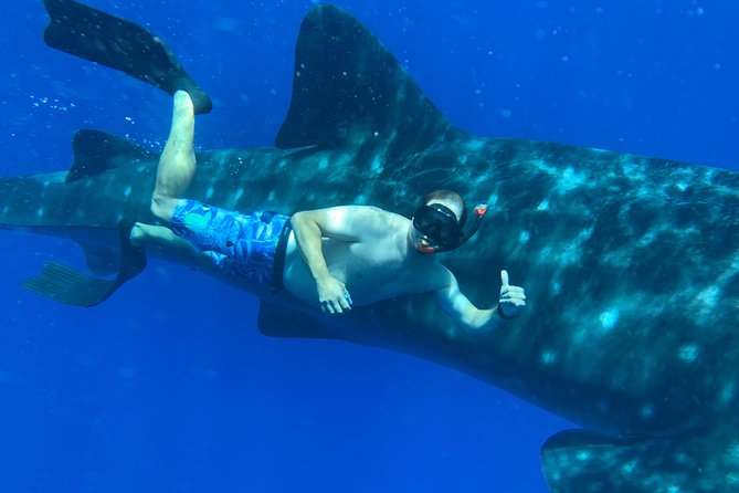 Afternoon Snorkel Adventure With Optional SCUBA and Intro SCUBA