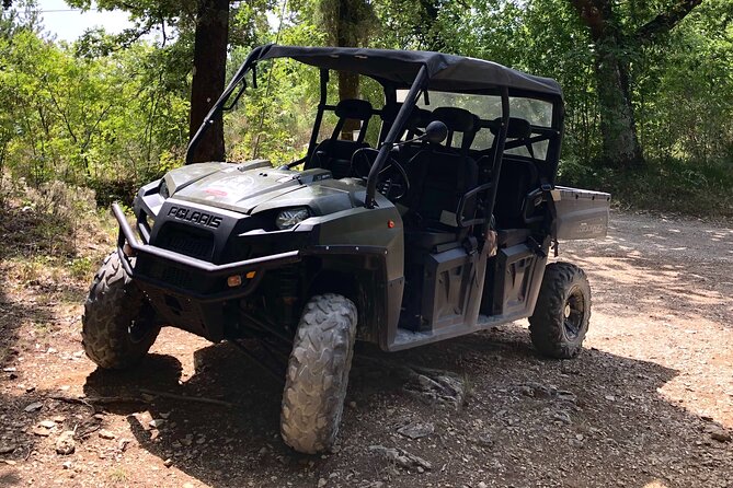 Chianti Wild Safari Adventure Through Tuscan Vineyards