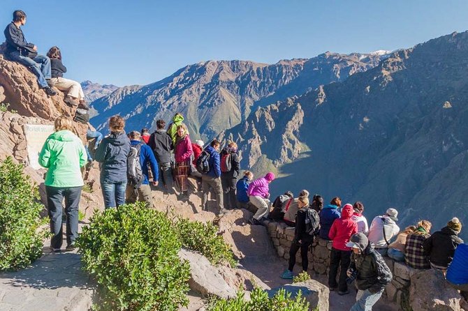 Colca Full Day