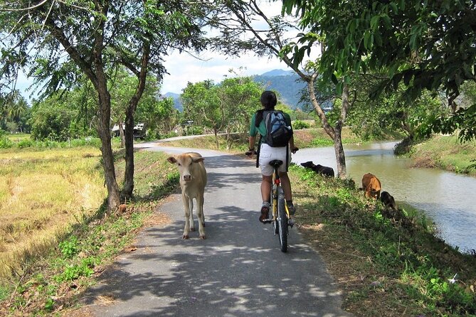 Cycling the Langkawi Nature Trails