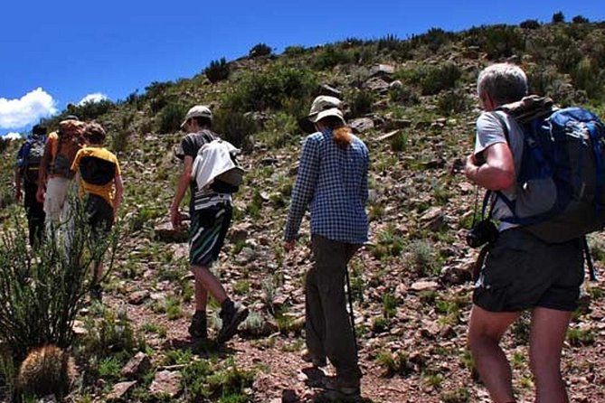 Full Day Trekking to Vallecitos, From Mendoza