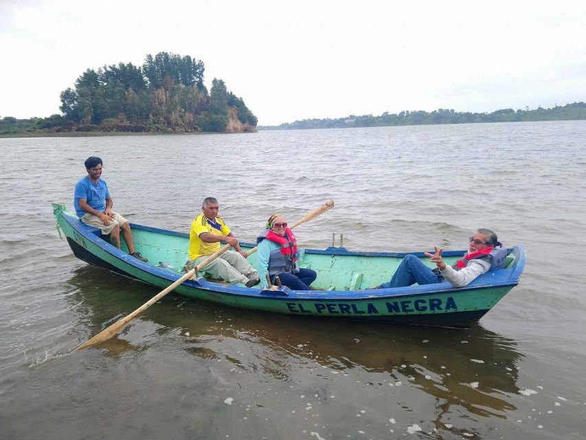 Mapuche Community Araucanía