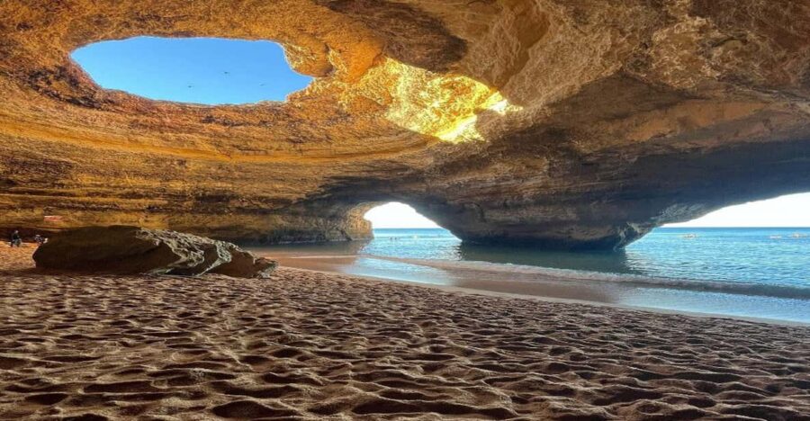 9 Best Dolphin Watching Tours In Portimao