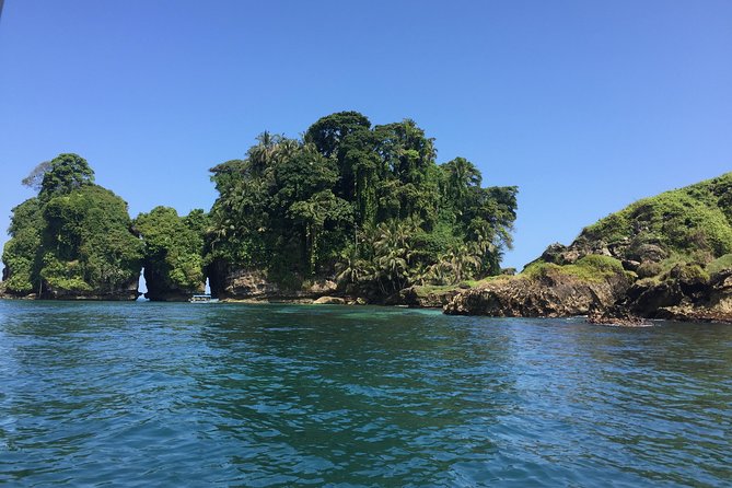 Speed Boat Tour to Mangrove Point -Starfish Beach -Bocas Del Drago and Birds Island