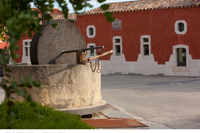 Wine Experience in a Local Winery - Departure From Cagliari