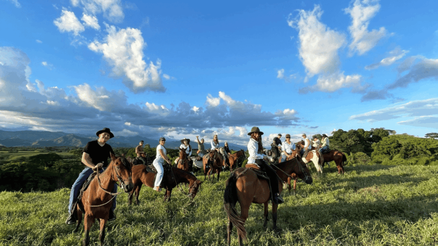 Amazing Adventure: Coffee Tour and Exclusive Horseback Riding in Pereira