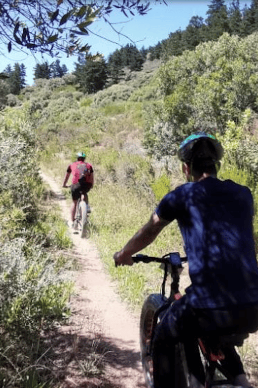 Cape Town: E-Bike Wine Tour