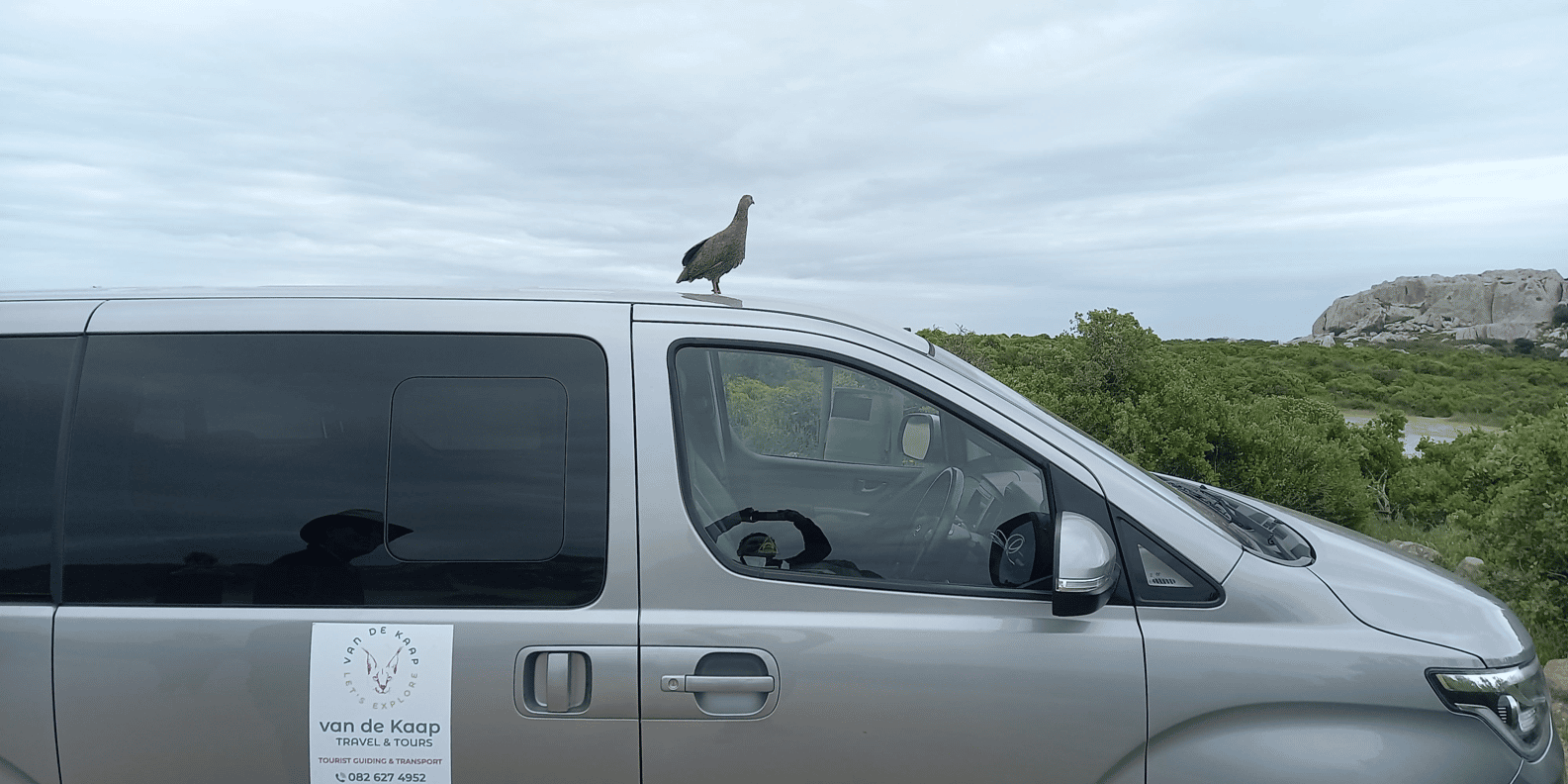 Cape Town: West Coast Full Day Private Tour - Customer Reviews