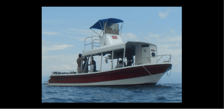 11 Best Scuba Diving Experiences In Puerto Vallarta