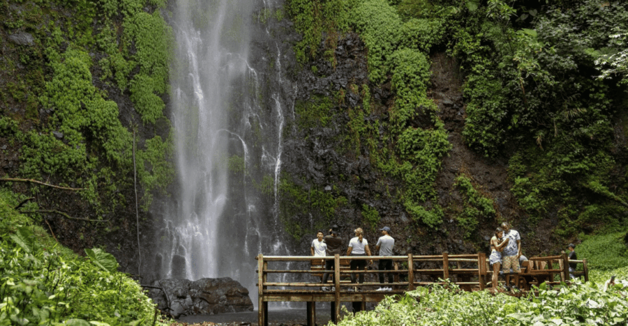 Trekking/Hiking Yarumo Blanco Waterfall From Pereira or Armenia